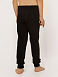 Кальсоны Черный арт. дк190ч